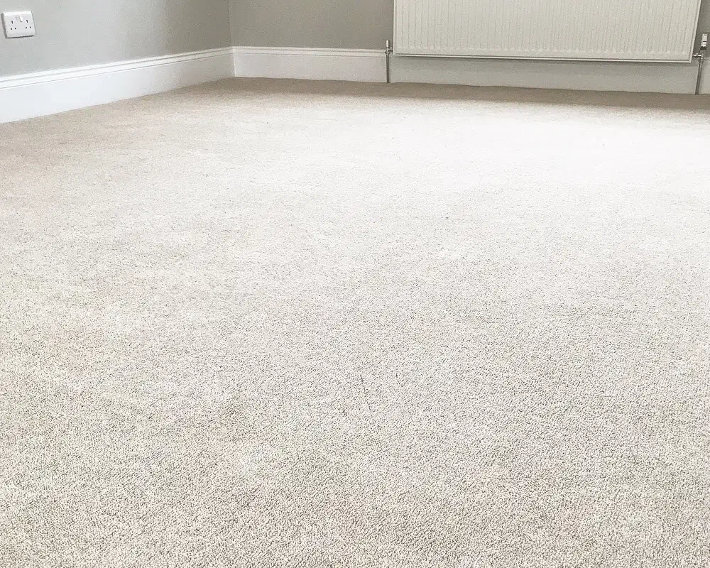 موکت|موکت|قم, بلوار امین و ساحلی|دیوار