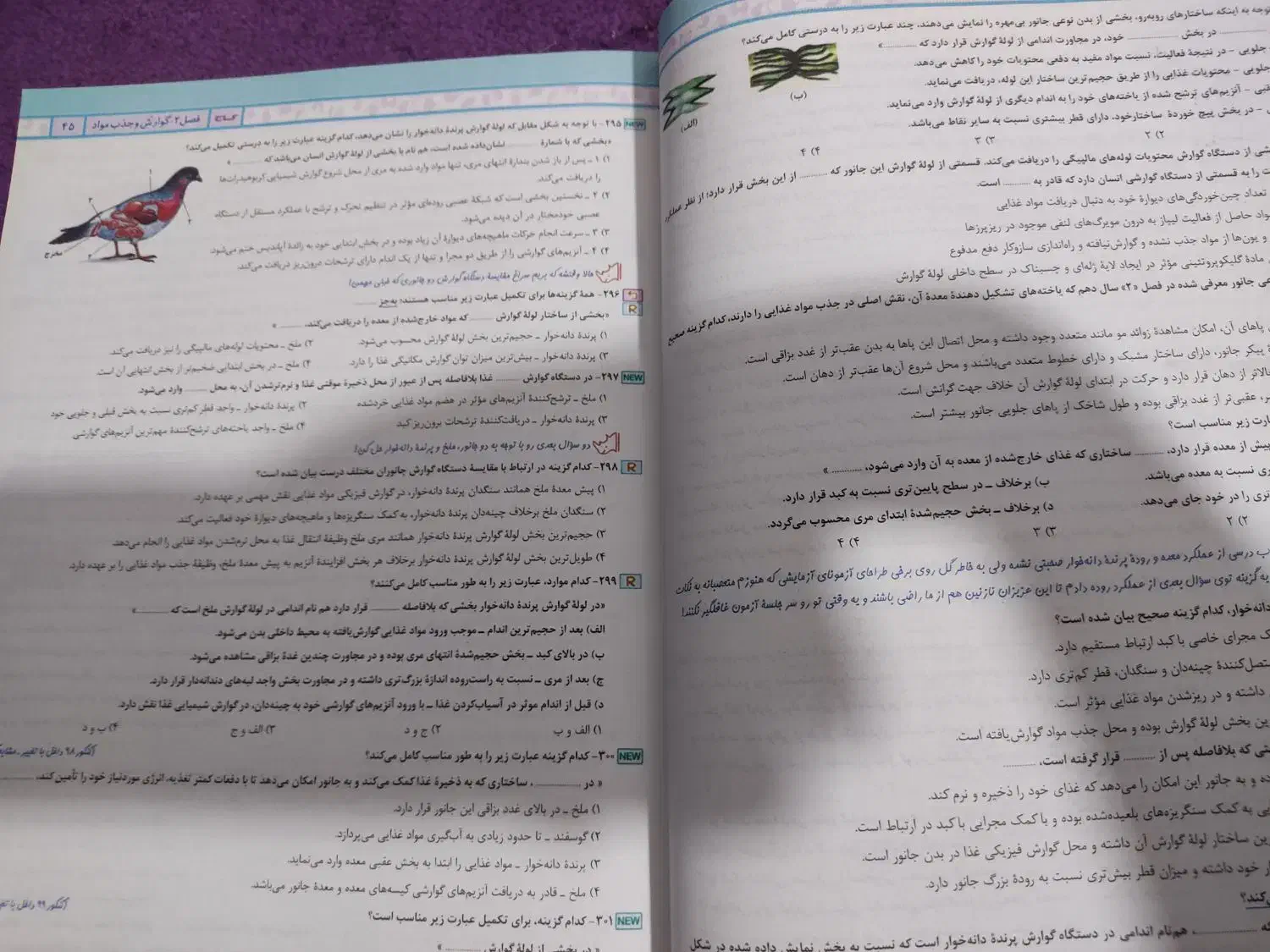 کتاب تست زیست جامع آی کیو+پاسخنامه|کتاب و مجله آموزشی|اهواز, شهرک دانشگاه|دیوار