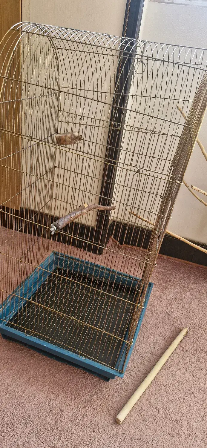 قفس پرنده بزرگ با درخچه و لانه|لوازم جانبی حیوانات|قم, شهرک قدس|دیوار