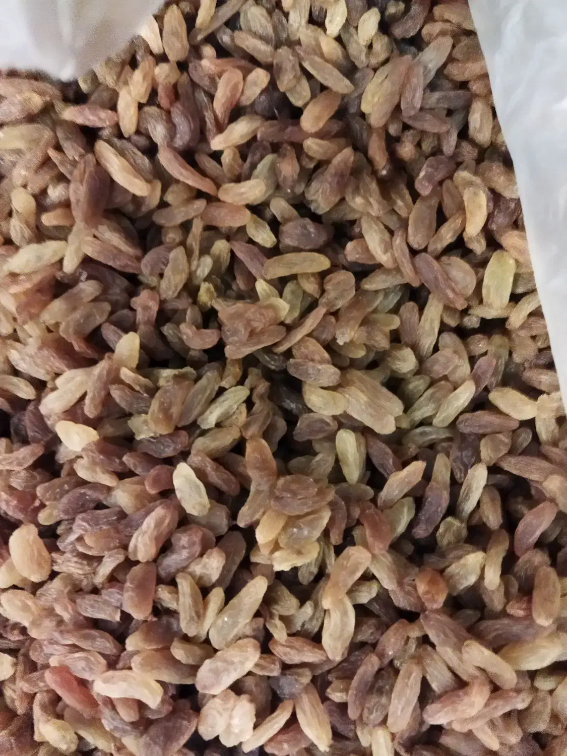 کشمش|خوردنی و آشامیدنی|عسلویه, |دیوار