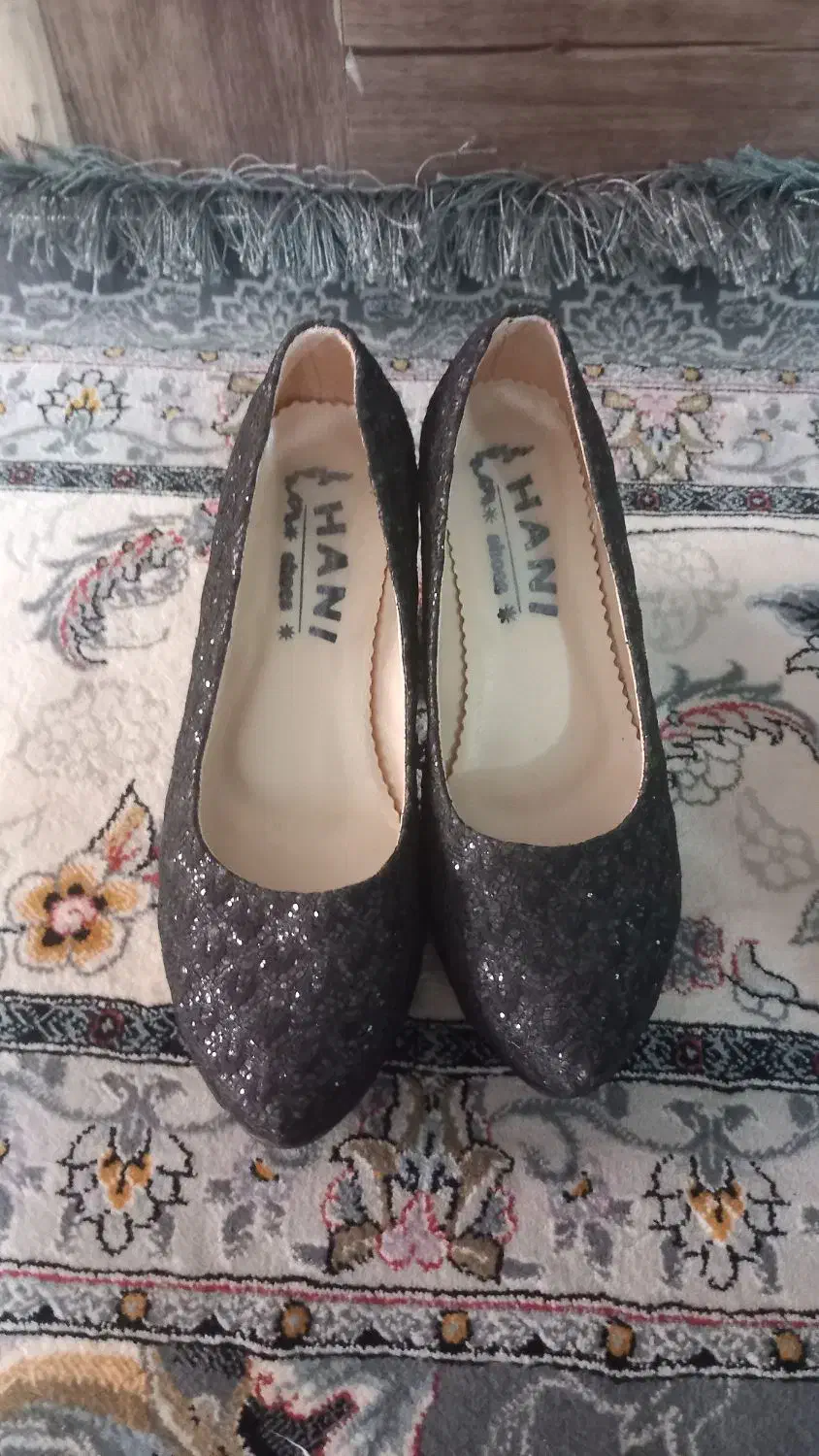 دوجفت کفش مجلسی ویک جفت نیم پوت زنانه|کیف، کفش، کمربند|تربت‌حیدریه, مظفریه|دیوار