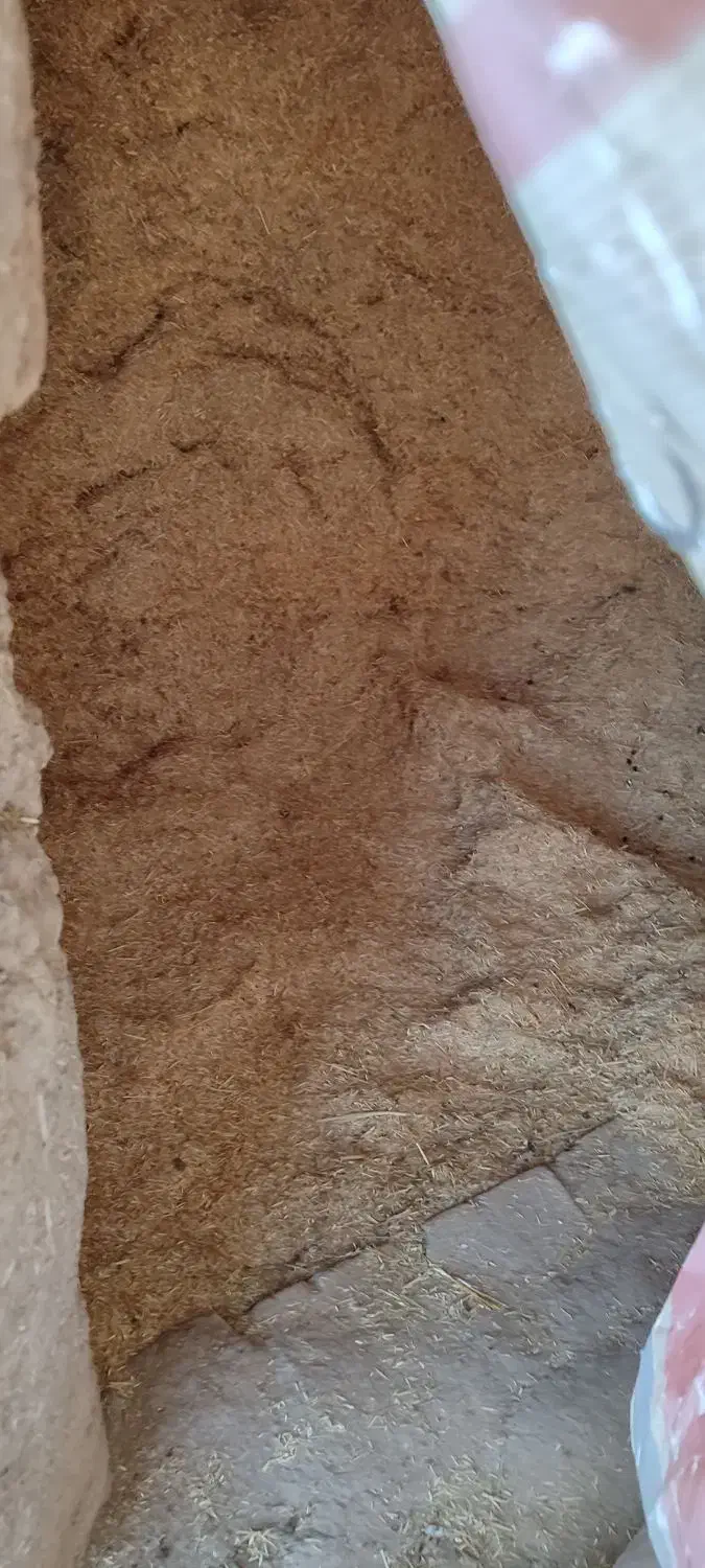 کشاورزی|لوازم جانبی حیوانات|شراء, |دیوار