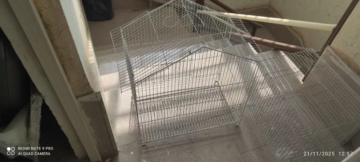 قفس پرنده|لوازم جانبی حیوانات|شاهین‌شهر, شهرک ردانی پور|دیوار