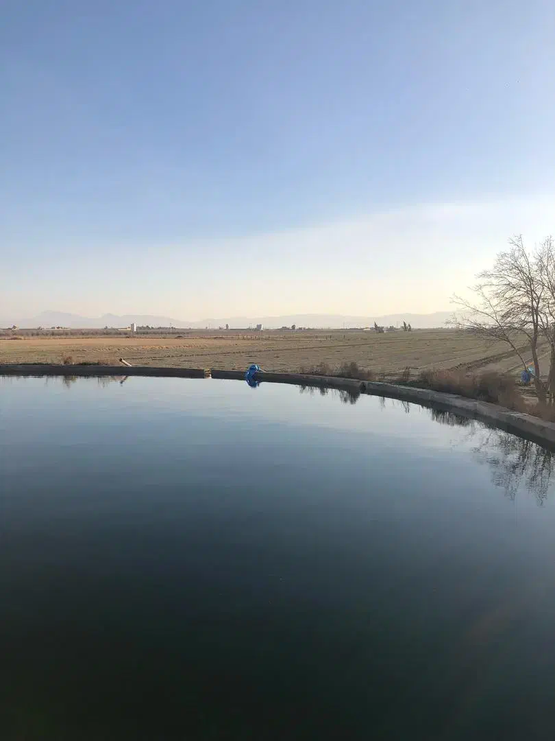 زمین کشاورزی|فروش دفتر صنعتی، کشاورزی، تجاری|مرودشت, محمد آباد|دیوار