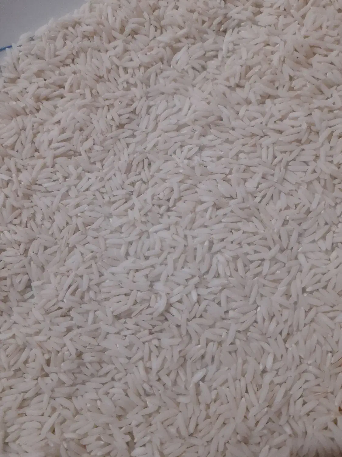 برنج هاشمی سورتینگ شده در صومعه سرا|خوردنی و آشامیدنی|طاهرگوراب, |دیوار