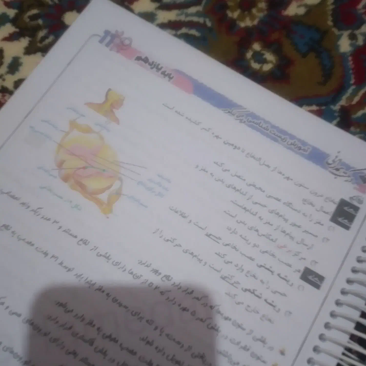 جزوه زیست شناسی رنگی|کتاب و مجله آموزشی|اردبیل, |دیوار