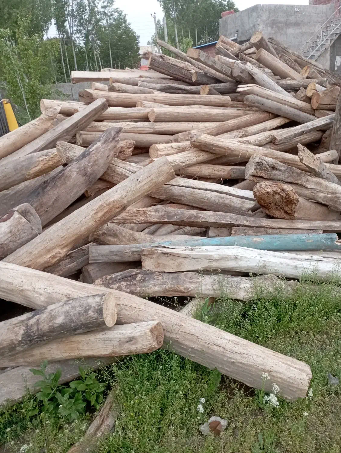 خرید چوب آلات کهنه|خدمات باغبانی و درختکاری|کوثر, |دیوار