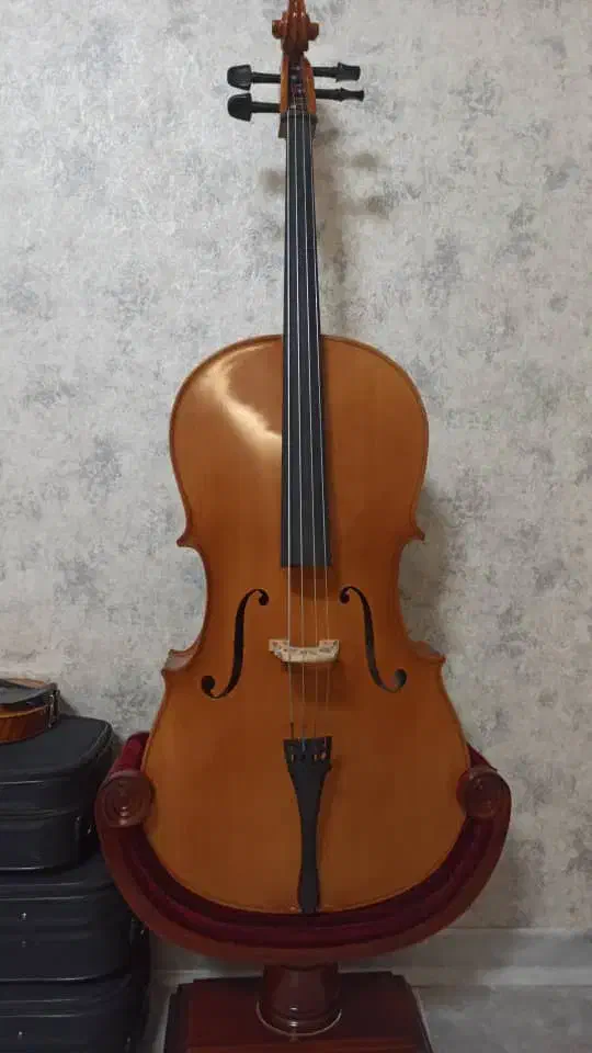 فروش ساز ویالن سل|ویولن|شیراز, فرگاز|دیوار