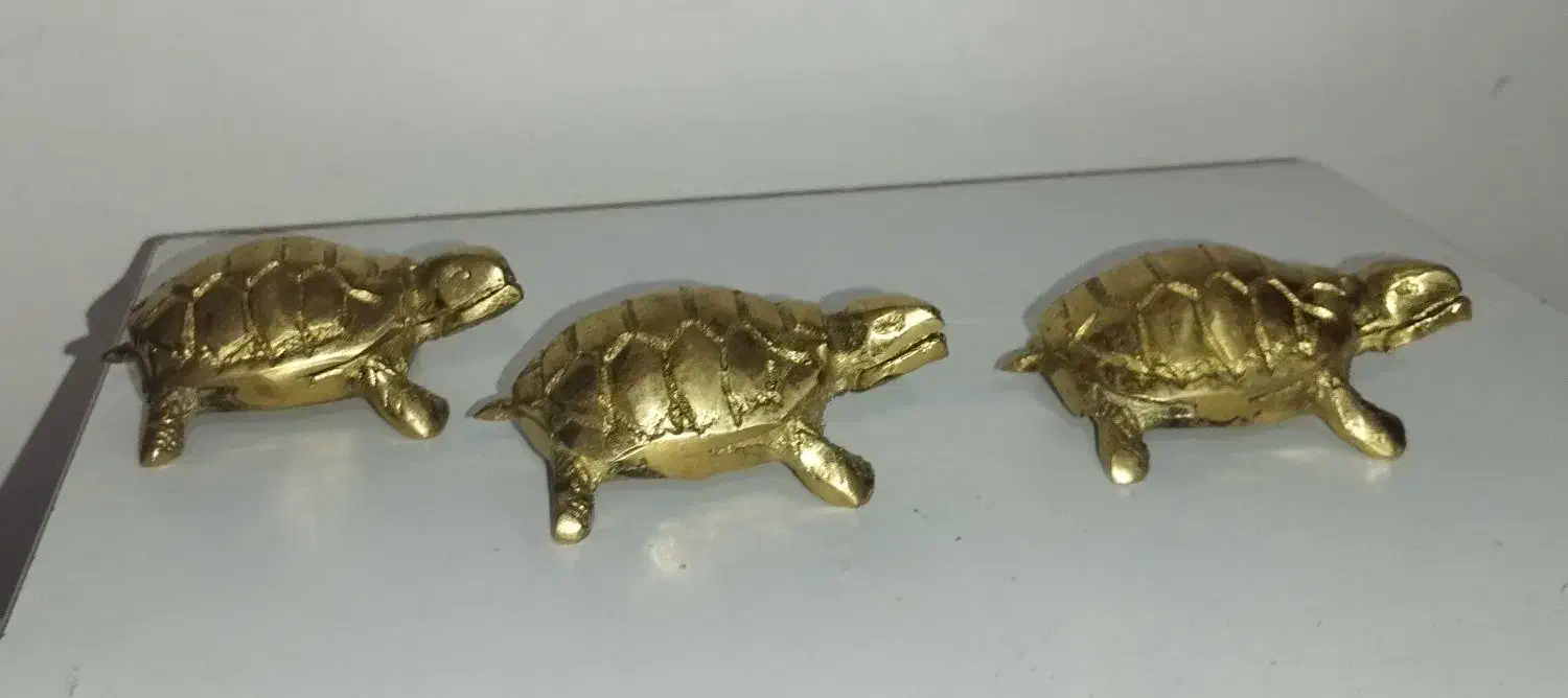 لاک پشت برنجی|مجسمه، تندیس، ماکت|اردبیل, |دیوار