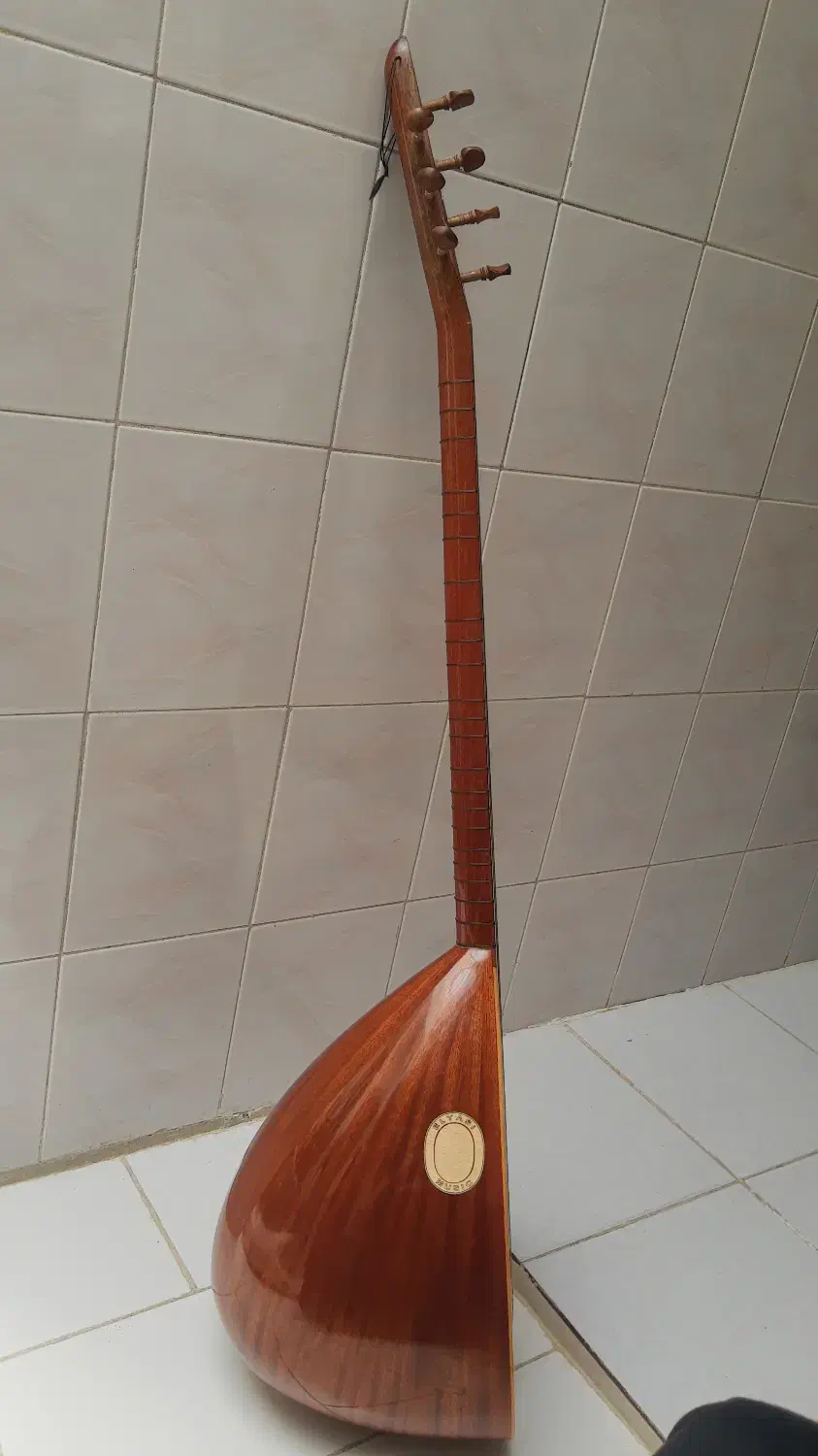 ساز دیوان دسته بلند الیاسی با کیف|سازهای سنتی|کامیاران, |دیوار