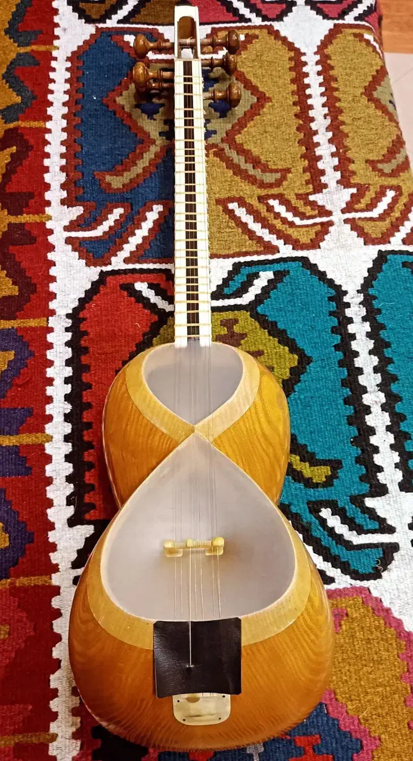 تار حرفه ای (سه مهر یوسف صنعت)|سازهای سنتی|رشت, سعدی (تختی)|دیوار