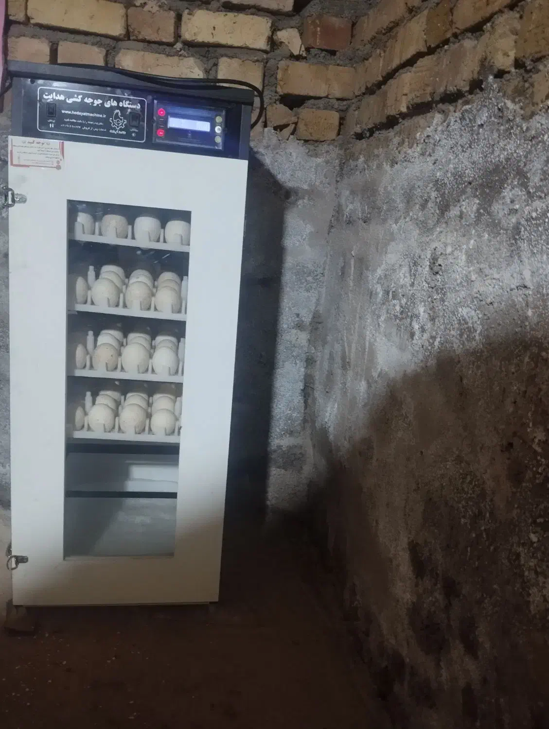 دستگاه جوجه کشی 210تایی|لوازم جانبی حیوانات|قیدار, |دیوار