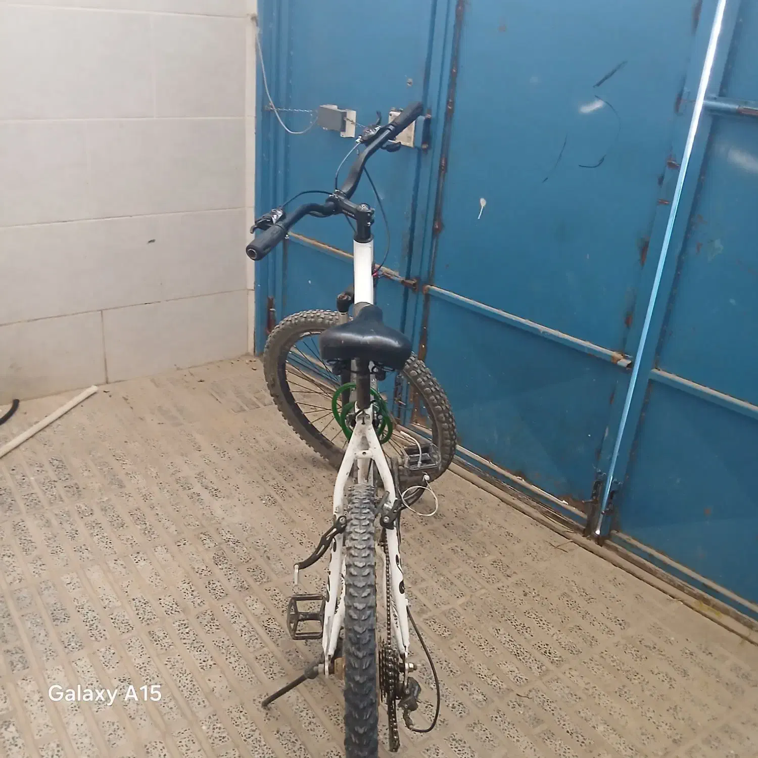 دوچرخه ۲۶ viva|دوچرخه، اسکیت، اسکوتر|لاران, |دیوار