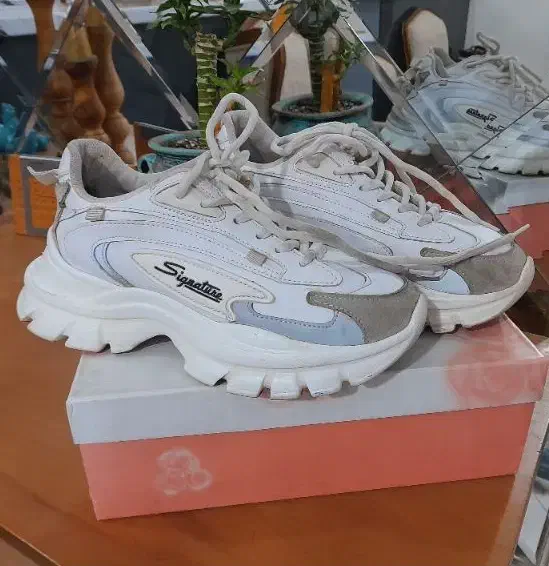 کفش|کیف، کفش، کمربند|صباشهر, |دیوار