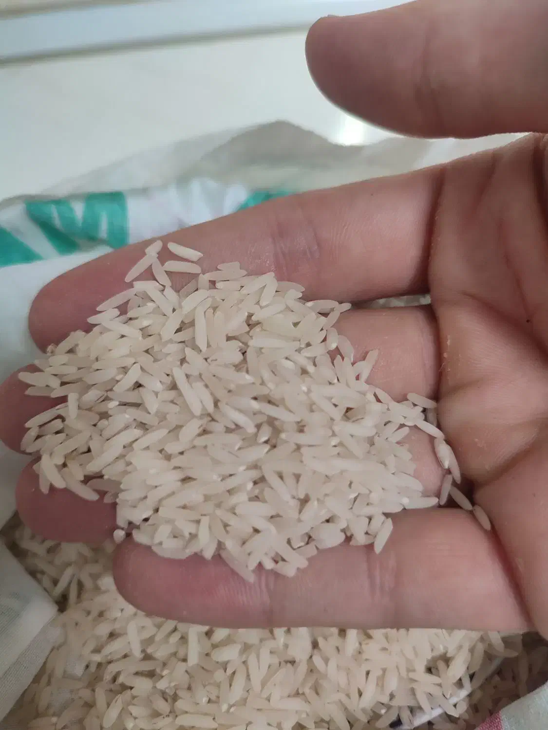 ۲۰۰کیلوبرنج طارم هاشمی محلی دشت خودم به شرط پخت|خوردنی و آشامیدنی|قائم‌شهر, |دیوار