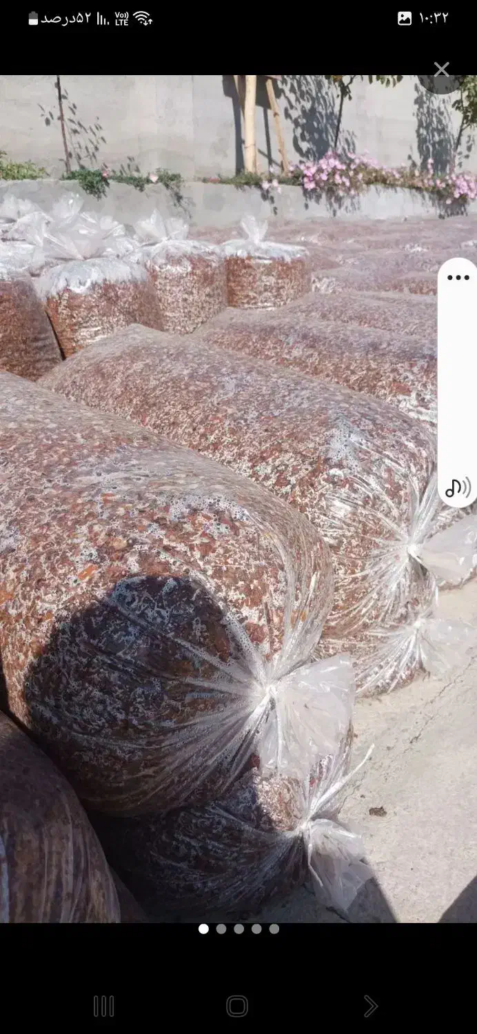 تفاله چغندرو سیب|عمده‌فروشی|میاندوآب, |دیوار