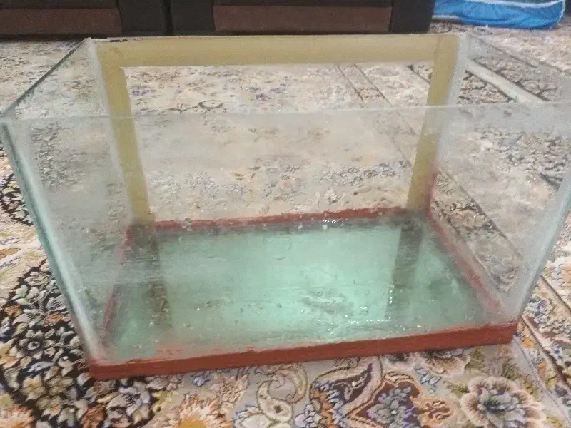 آکواریوم برای ماهی های تزئینی|ماهی|نجفآباد, یزدانشهر|دیوار