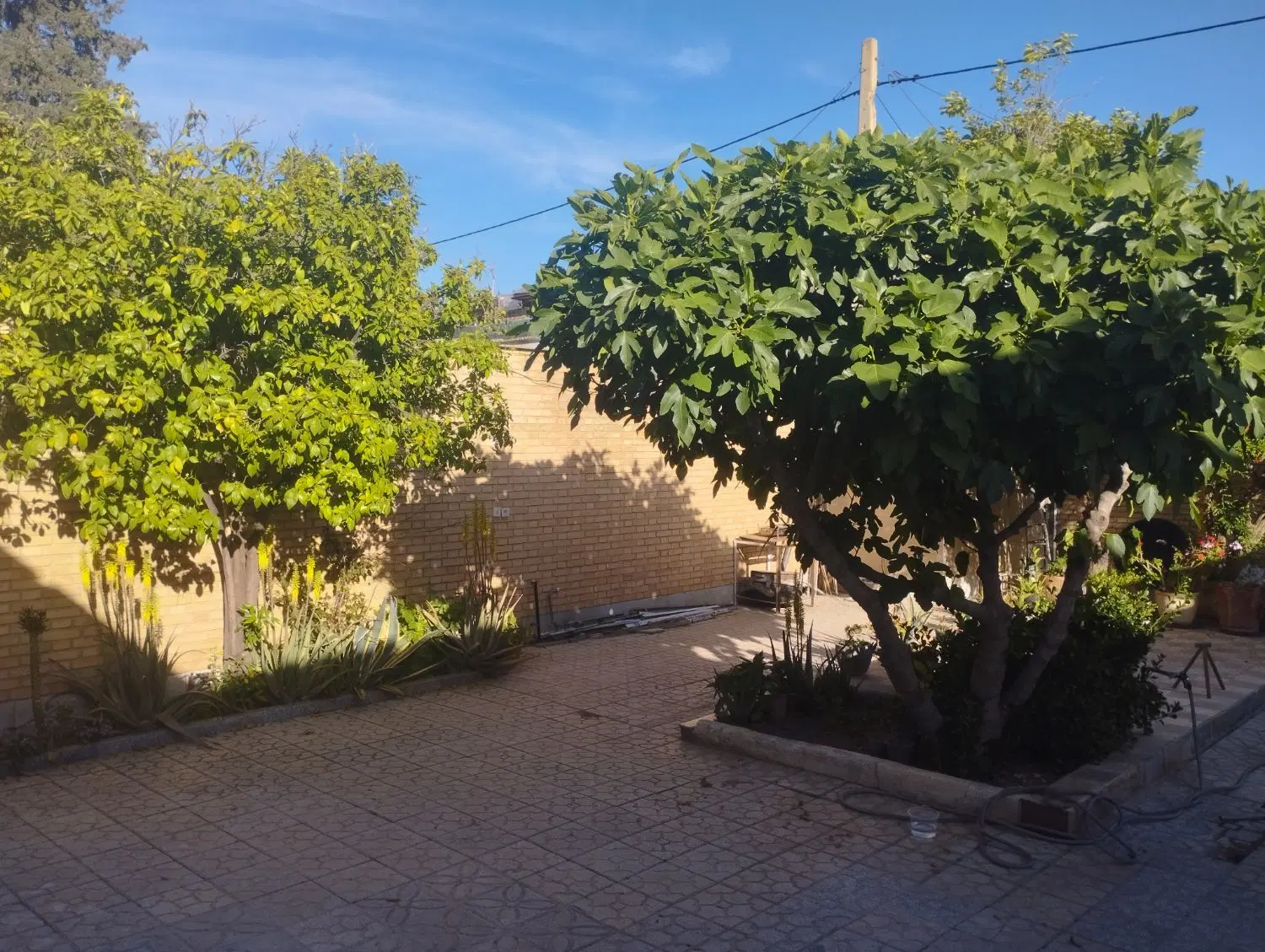 تصویر 18