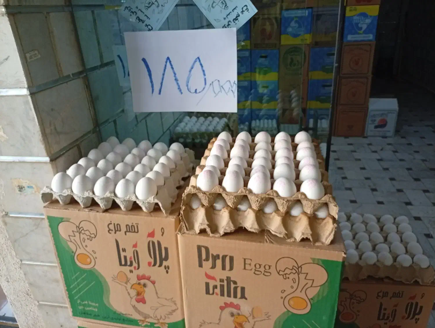 فروش تخم مرغ به قیمت عمده شانه ای165|عمدهفروشی|هشتگرد, شهرک ولیعصر (مصلی)|دیوار