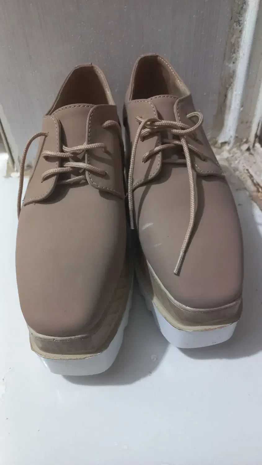 کفش لژدار|کیف، کفش، کمربند|دهلران, |دیوار