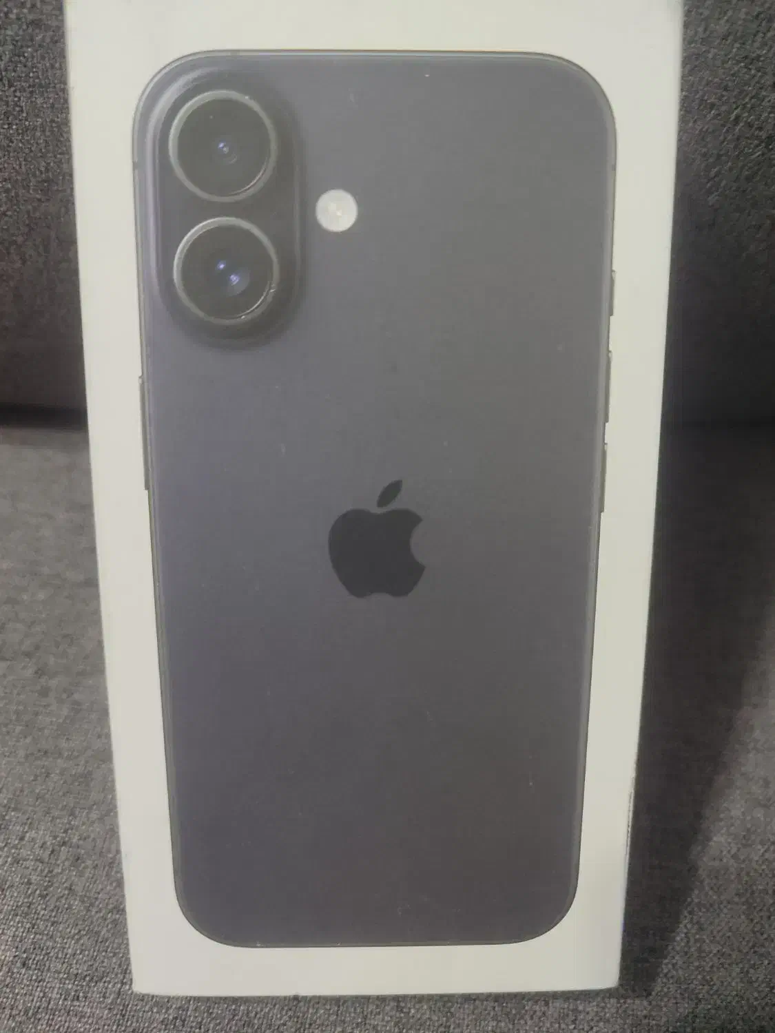 apple 16 normal|موبایل|رشت, باهنر|دیوار