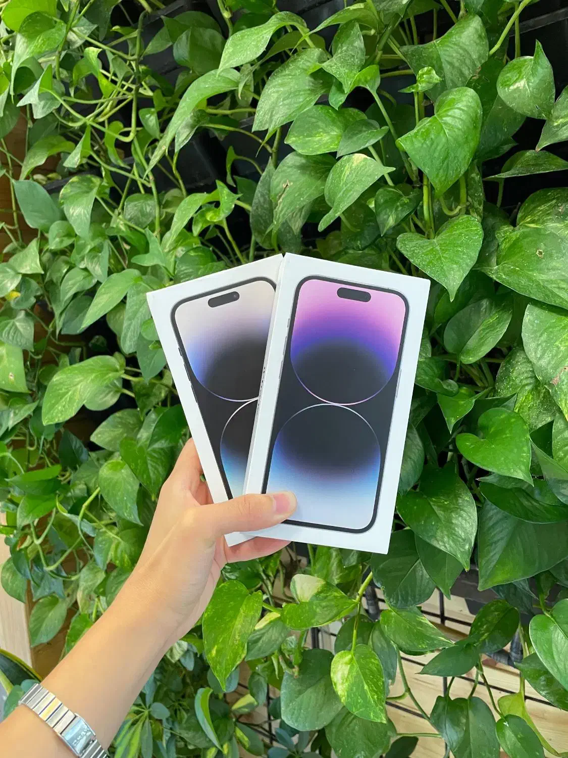 14pro 14max|موبایل|شیراز, معالیآباد|دیوار