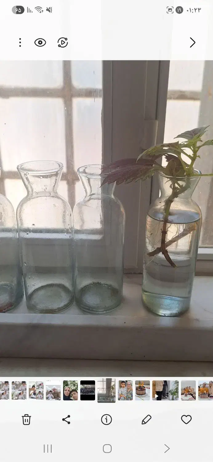 بطری شیشه ای|ظروف نگهدارنده، پلاستیکی، یک‌بارمصرف|ری, دولت‌آباد|دیوار