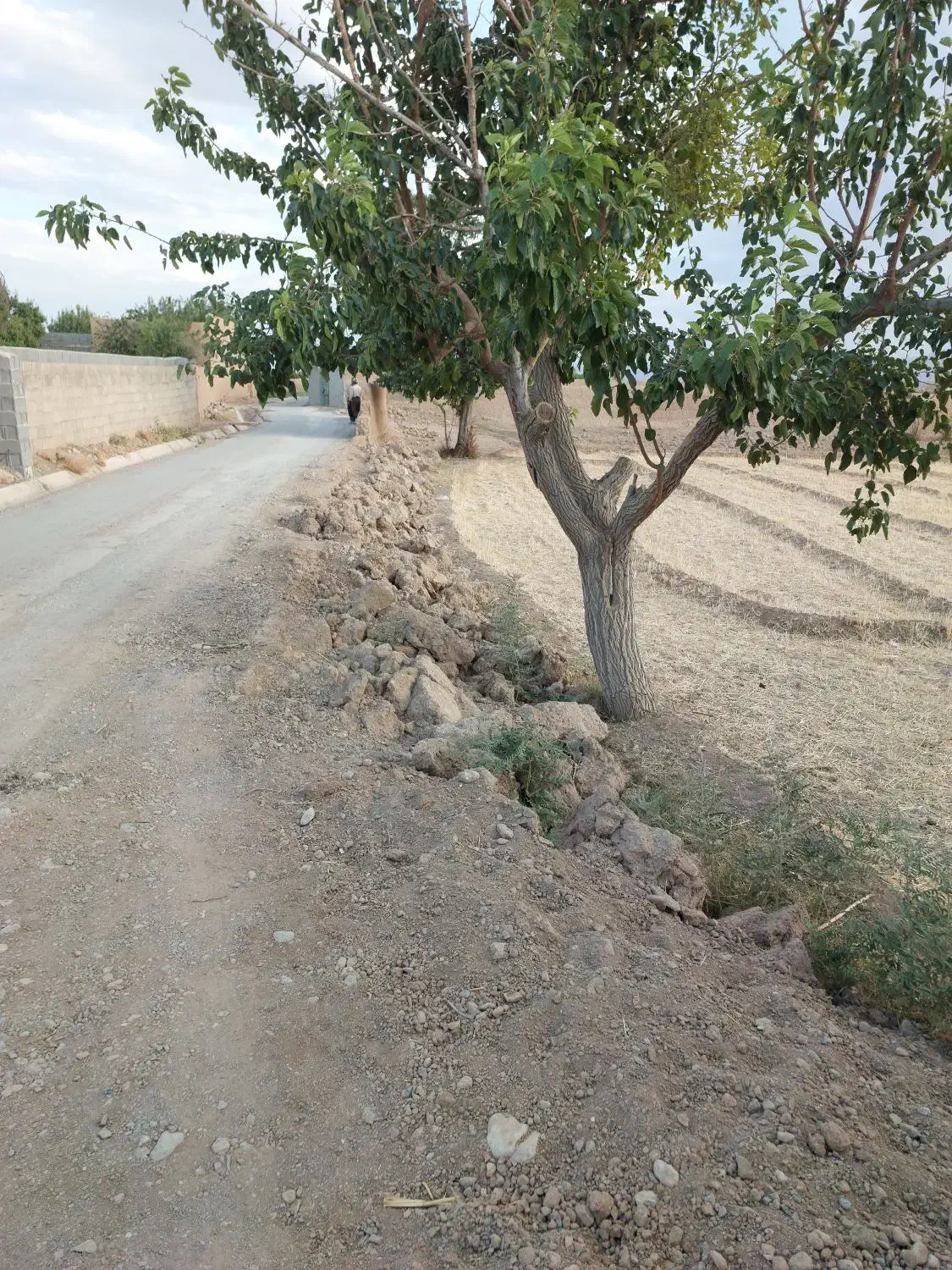 اجاره 100هکتار زمین کشاورزی وردشت سمیرم|اجارهٔ دفتر صنعتی، کشاورزی، تجاری|وردشت, |دیوار