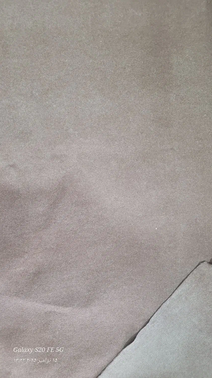 موکت|موکت|رشت, نخودچر|دیوار