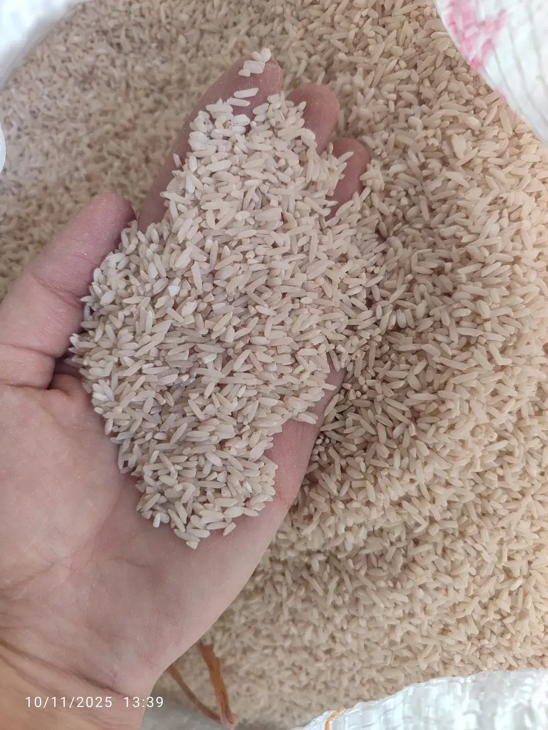 برنج چمپا بیدله|خوردنی و آشامیدنی|منج, |دیوار