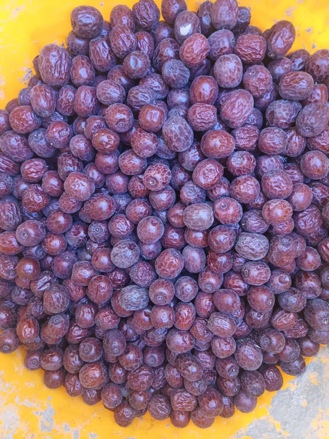 عناب درشت|خوردنی و آشامیدنی|تهران, مختاری|دیوار