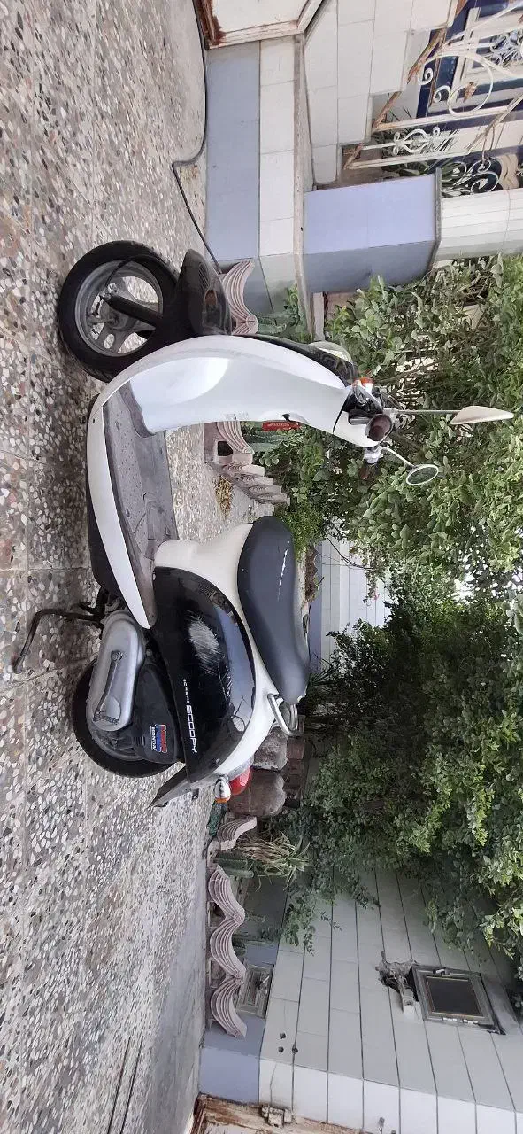 هوندا پاکشتی اسکوپی|موتورسیکلت|برازجان, |دیوار