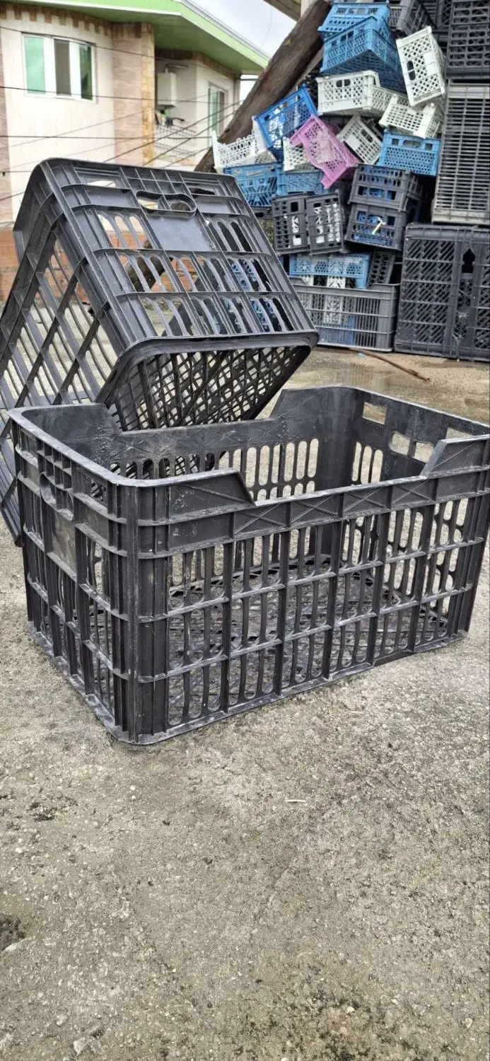 سبد|ظروف نگهدارنده، پلاستیکی، یکبارمصرف|ساری, |دیوار