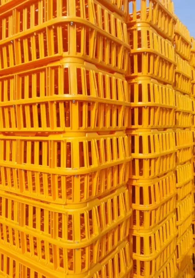 فروش عمده سبد پلاستیکی تولید کننده مستقیم|عمده‌فروشی|کرج, اتمسفر|دیوار