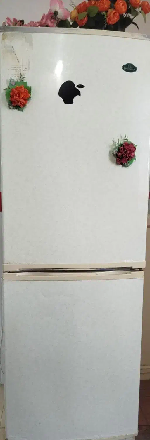 یخچال|یخچال و فریزر|آشخانه, |دیوار