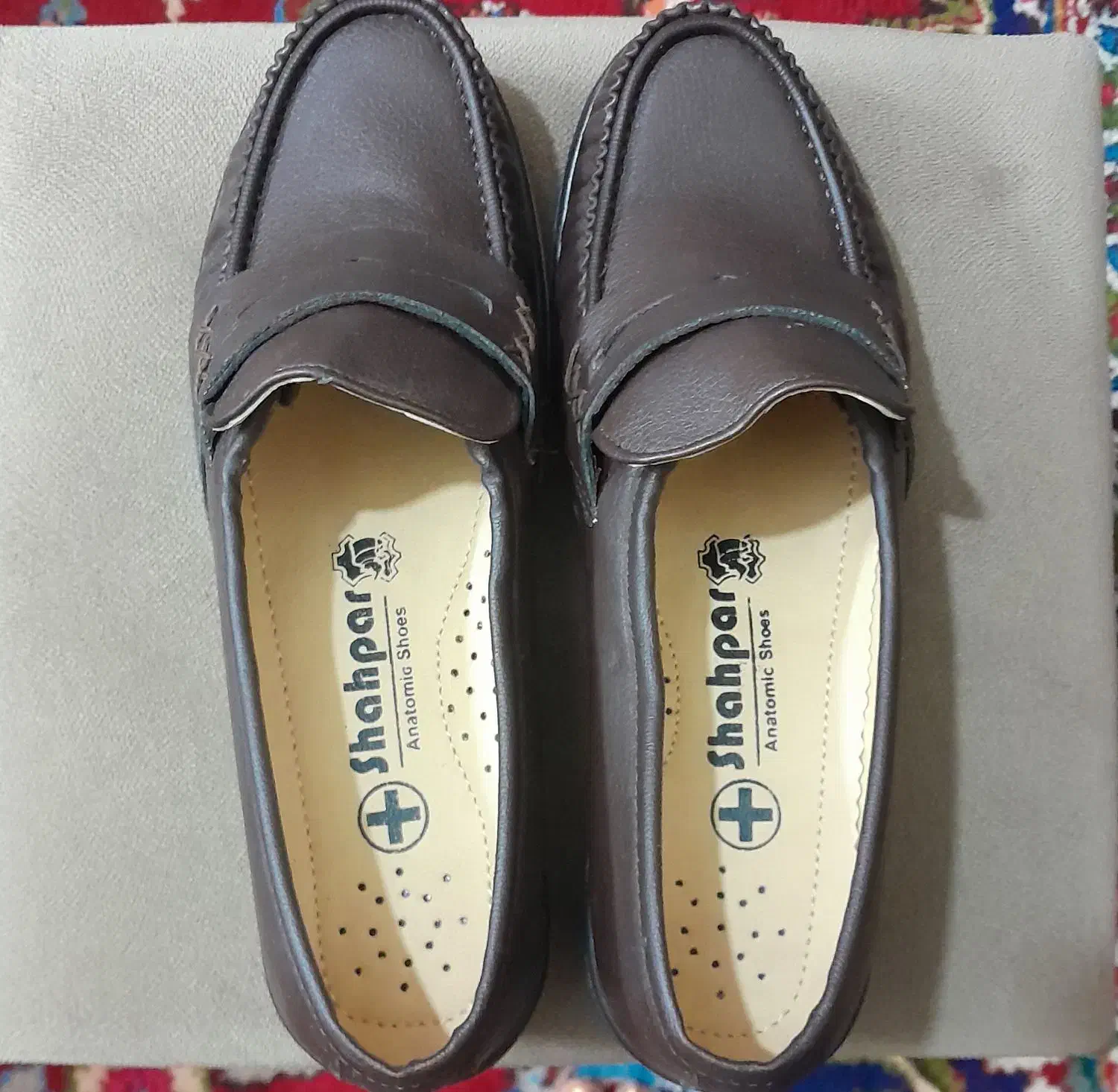 کفش نو|کیف، کفش، کمربند|قم, پردیسان|دیوار