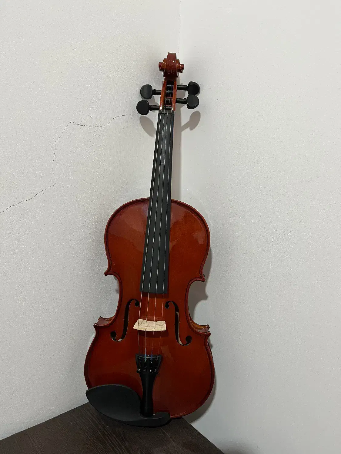 ویالون AMATi سایز 4/4|ویولن|بندر انزلی, جهانگانی|دیوار