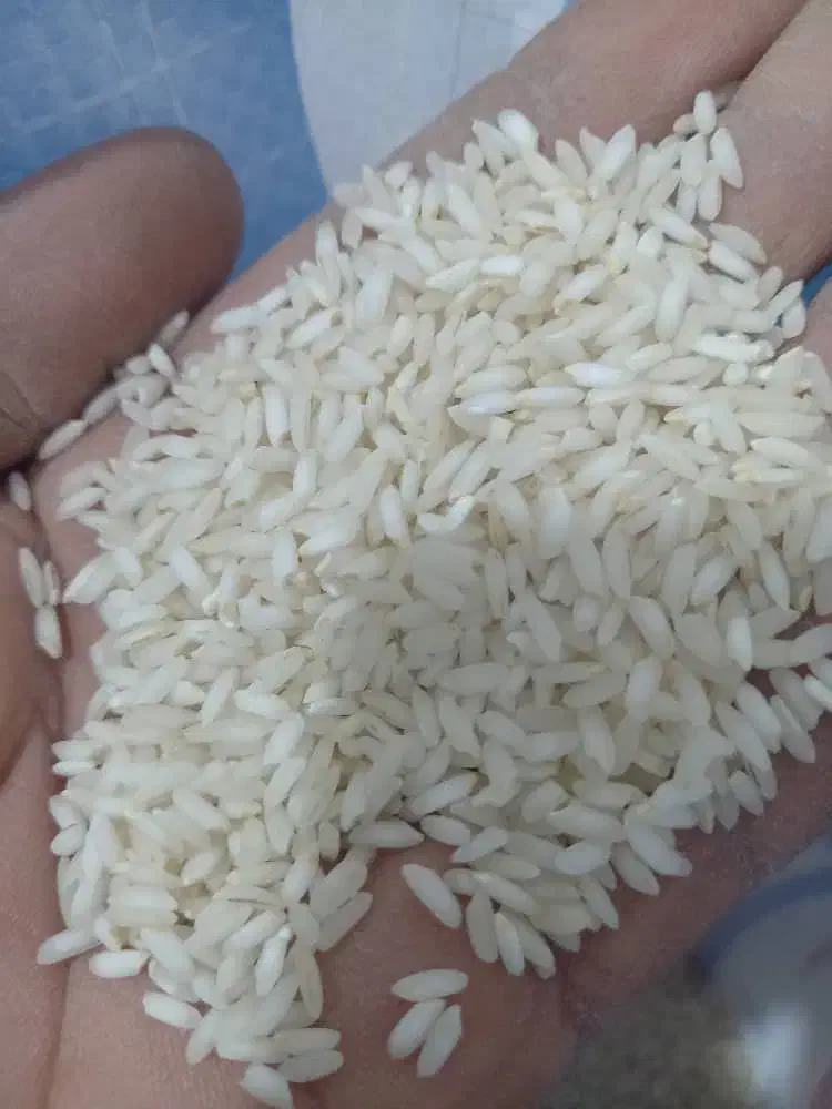 برنج عنبربوه معطر|خوردنی و آشامیدنی|دزفول, |دیوار