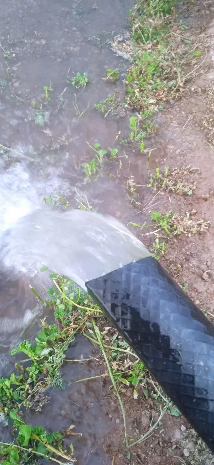 چاکنی چاه|خدمات پیشه و مهارت|قوچان, |دیوار