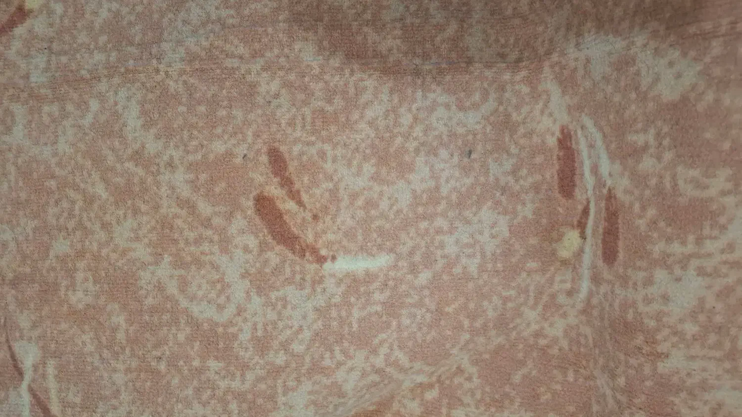 چندین متر موکد به رنگی که در تصویر هست تمیز سالم|موکت|آمل, |دیوار