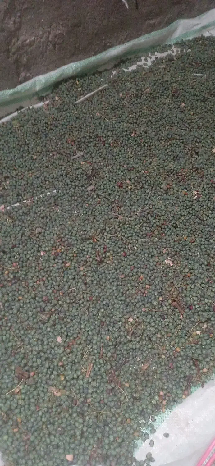 بنه کوهی امسالی|خوردنی و آشامیدنی|تربت‌حیدریه, آبشار|دیوار