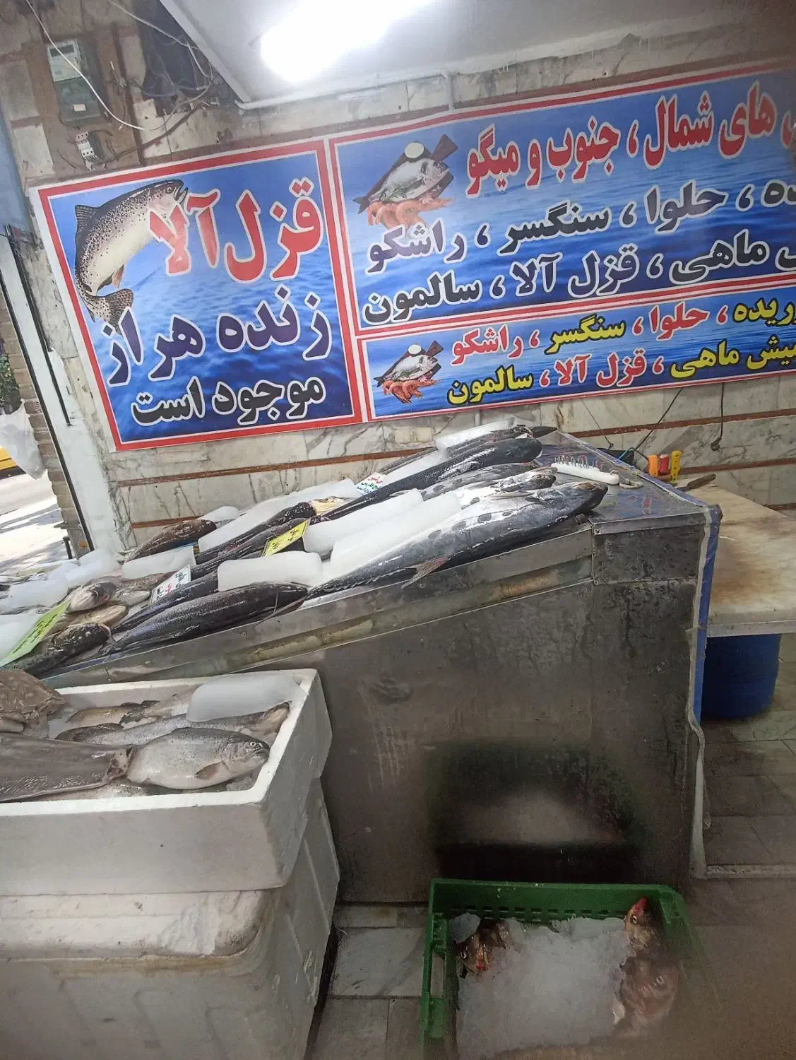 یخچال ماهی فروشی کفی شیب دار|فروشگاه و مغازه|تهران, ایران|دیوار