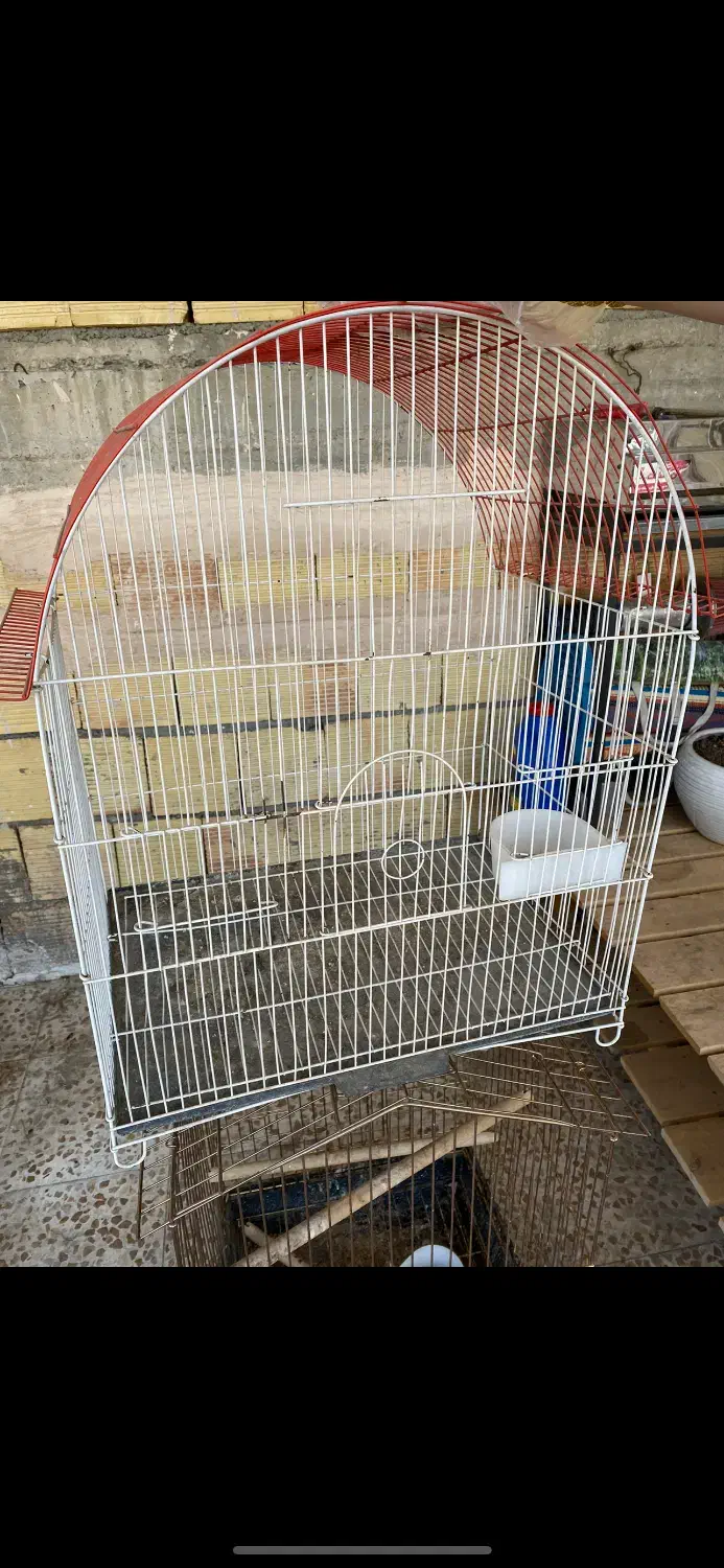 قفس پرنده|لوازم جانبی حیوانات|ارومیه, |دیوار