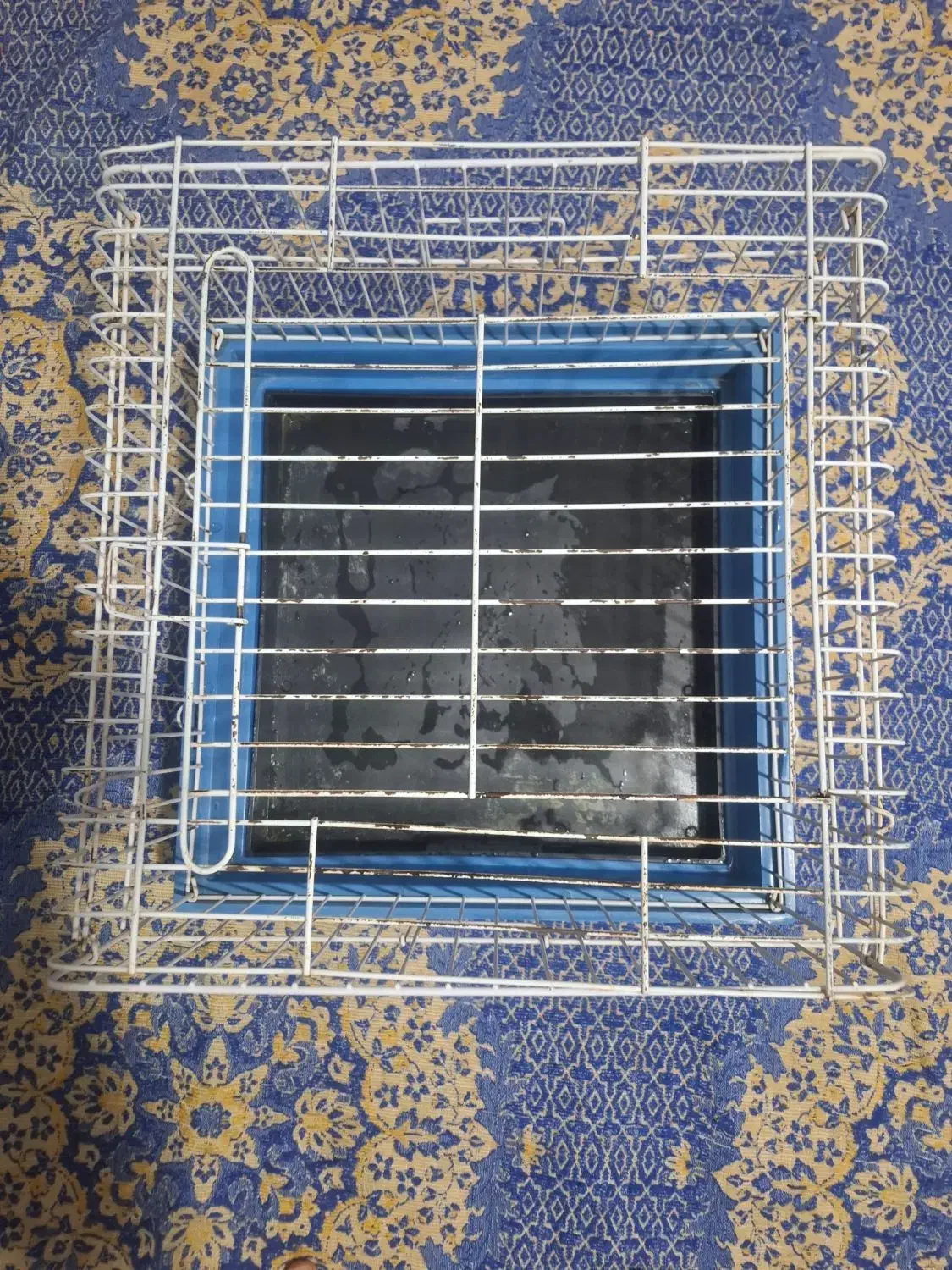 قفس مناسب خرگوش گربه سنجاب سگ کوچک مسافرتی|لوازم جانبی حیوانات|کرمان, |دیوار