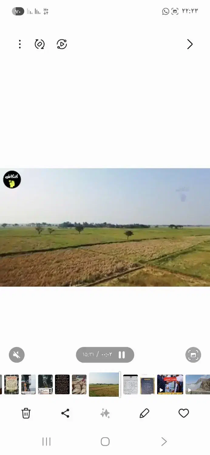 زمین کشاورزی|فروش دفتر صنعتی، کشاورزی، تجاری|قصرشیرین, |دیوار