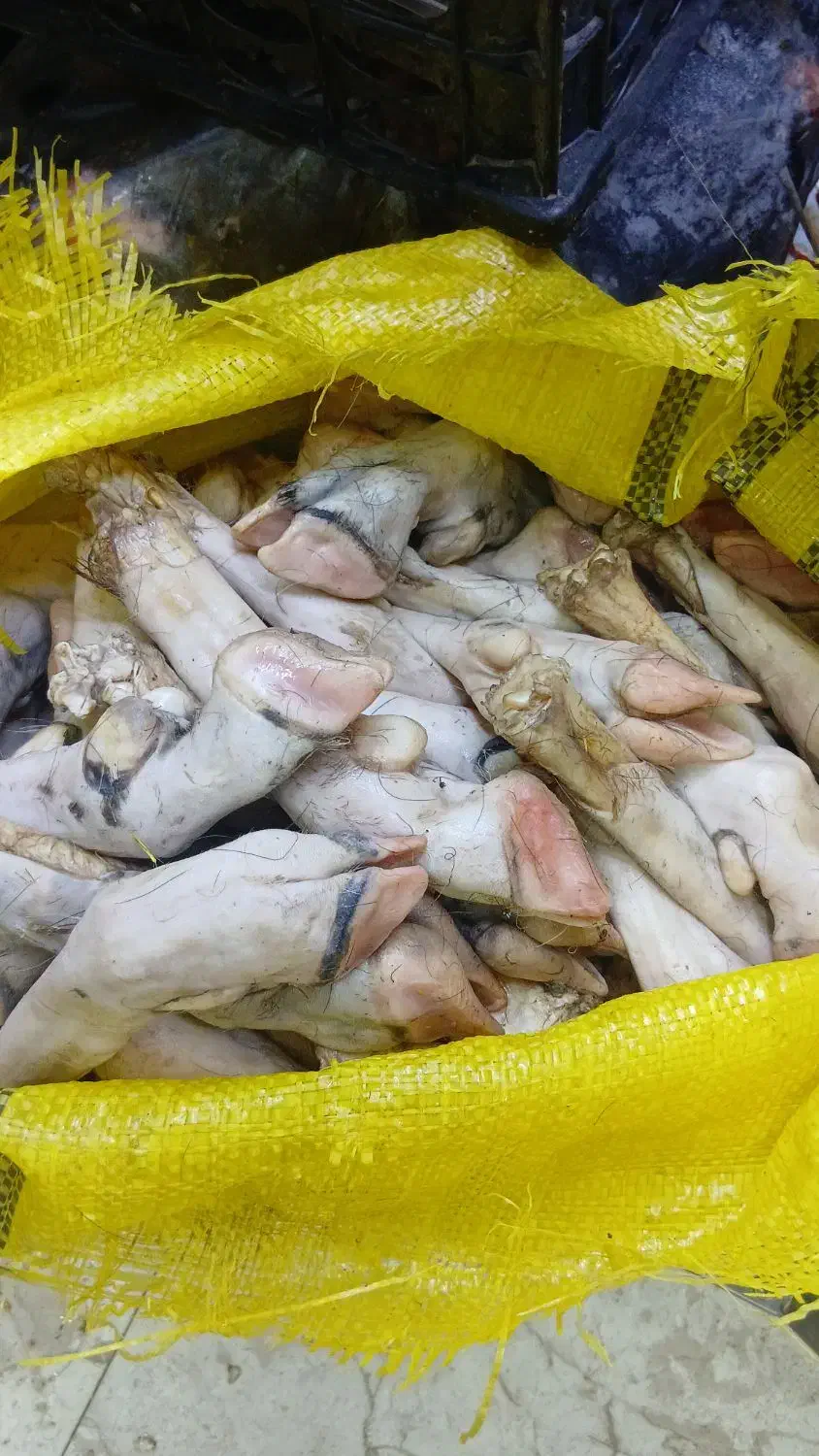 کله پاچه چپش،تکه،شیشک، گوسفند موجود میباشد|خوردنی و آشامیدنی|مهربان, |دیوار