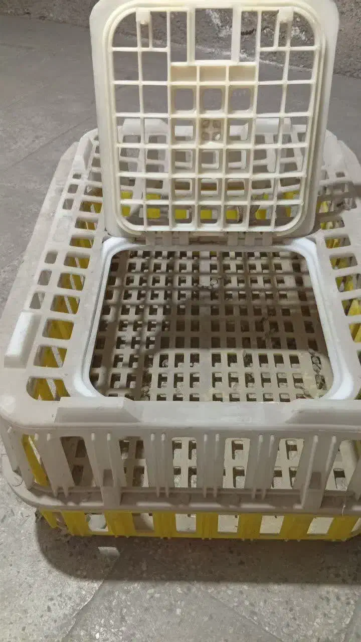 قفس مرغی|لوازم جانبی حیوانات|تهران, تهرانپارس جنوبی|دیوار