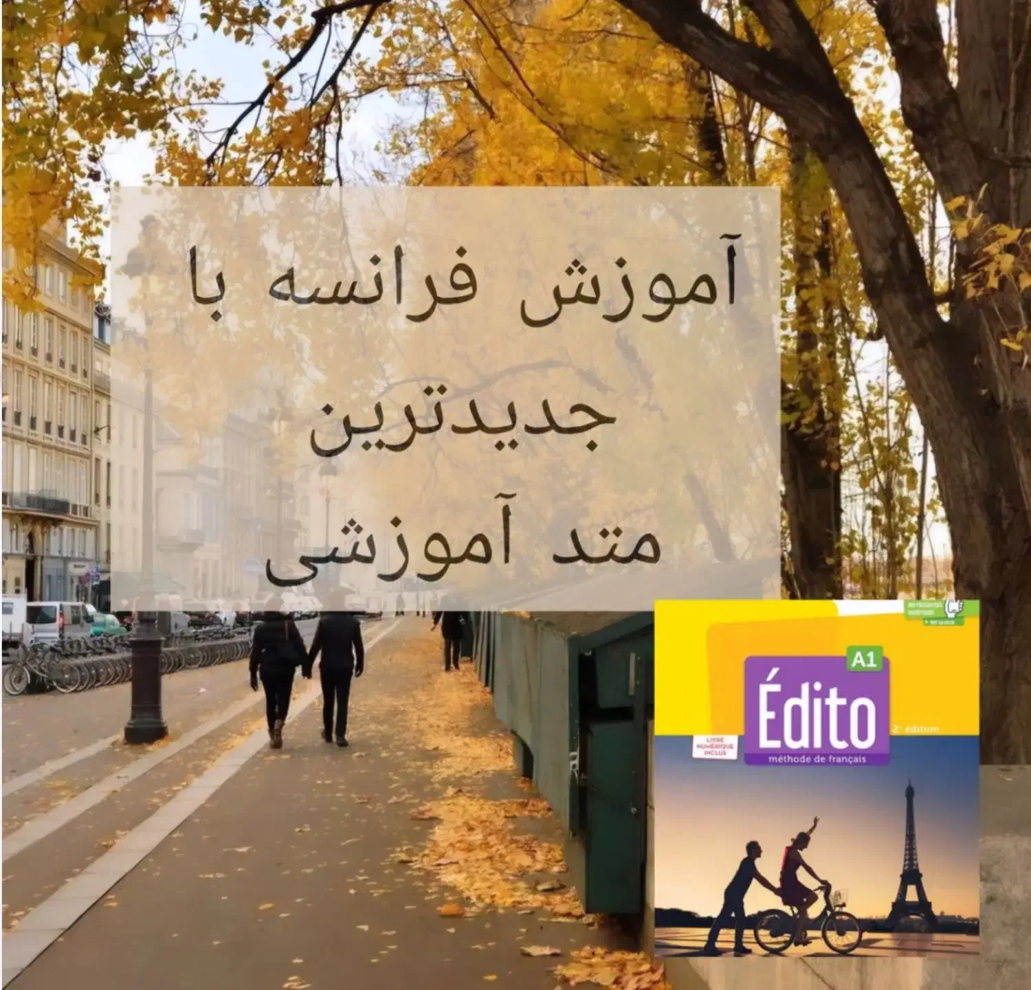 آموزش فرانسه|خدمات آموزشی|رشت, کاکتوس|دیوار