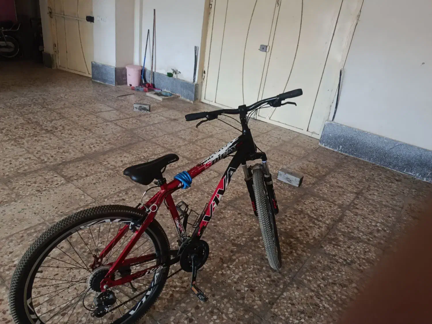 دوچرخه ویوا|دوچرخه، اسکیت، اسکوتر|بجنورد, |دیوار