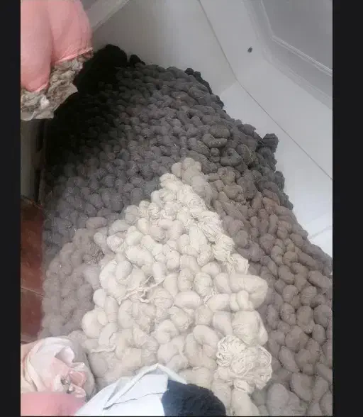 نخ قالی دست باف  فرش|فرش|تبریز, |دیوار